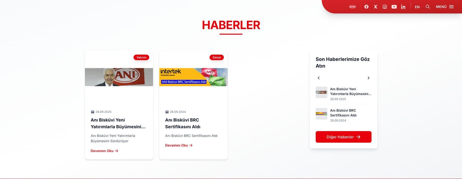 ANİ Bisküvi kurumsal web sitesi sayfa görüntüsü 3