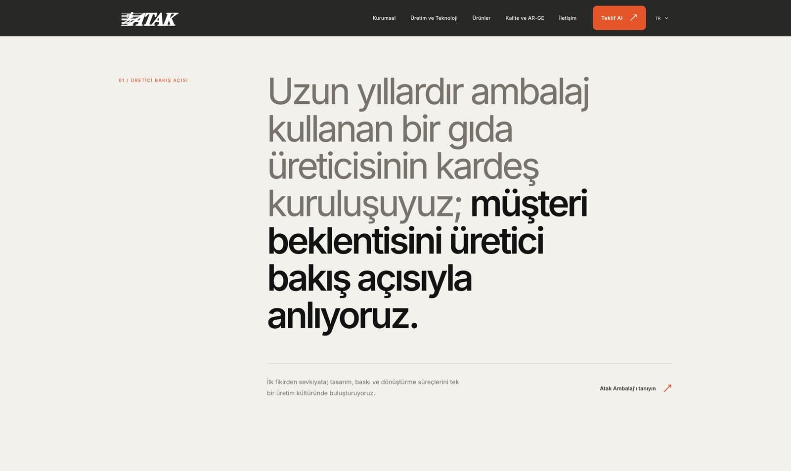 Atak Ambalaj kurumsal web sitesi sayfa görüntüsü 1